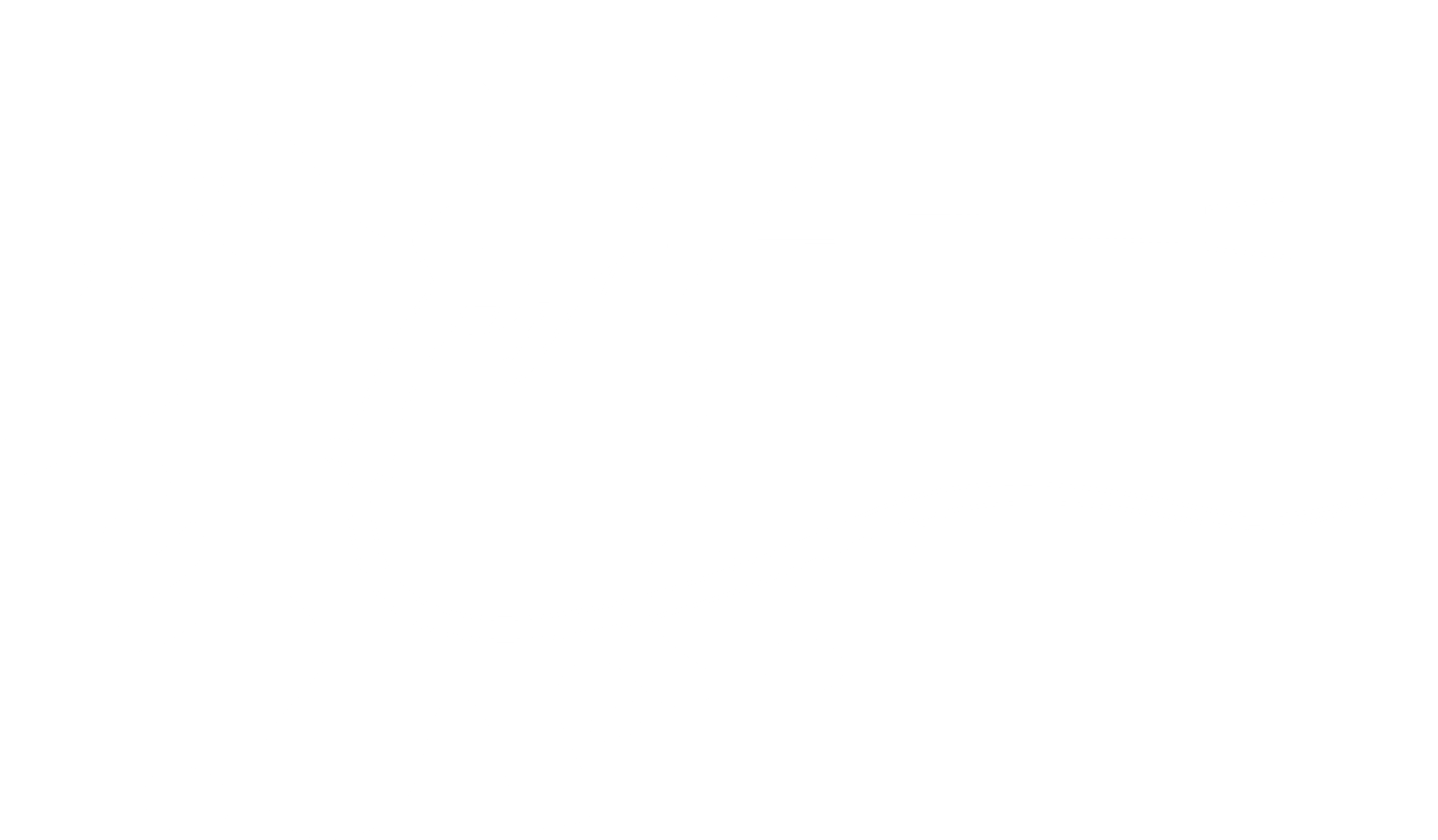 StoneWash Logo
